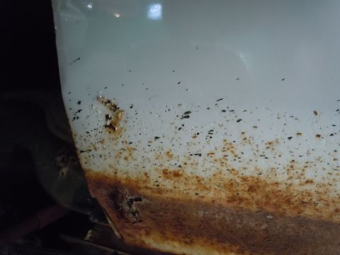 2001 Ford Crown Victoria - Close-up of a white car's lower body panel showing significant rust damage and dirt accumulation.