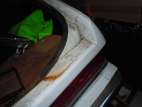 2001 Ford Crown Victoria - Rear view of a white 2001 Ford Crown Victoria, showing the taillight and bumper detail.