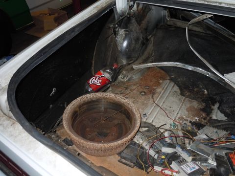 2001 Ford Crown Victoria - The interior of a car trunk shows disarray with a brake drum and a bottle of Coca-Cola.