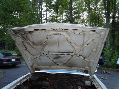 2001 Ford Crown Victoria - The engine bay of a 2001 Ford Crown Victoria is visible with the hood raised, revealing the engine and surrounding components.