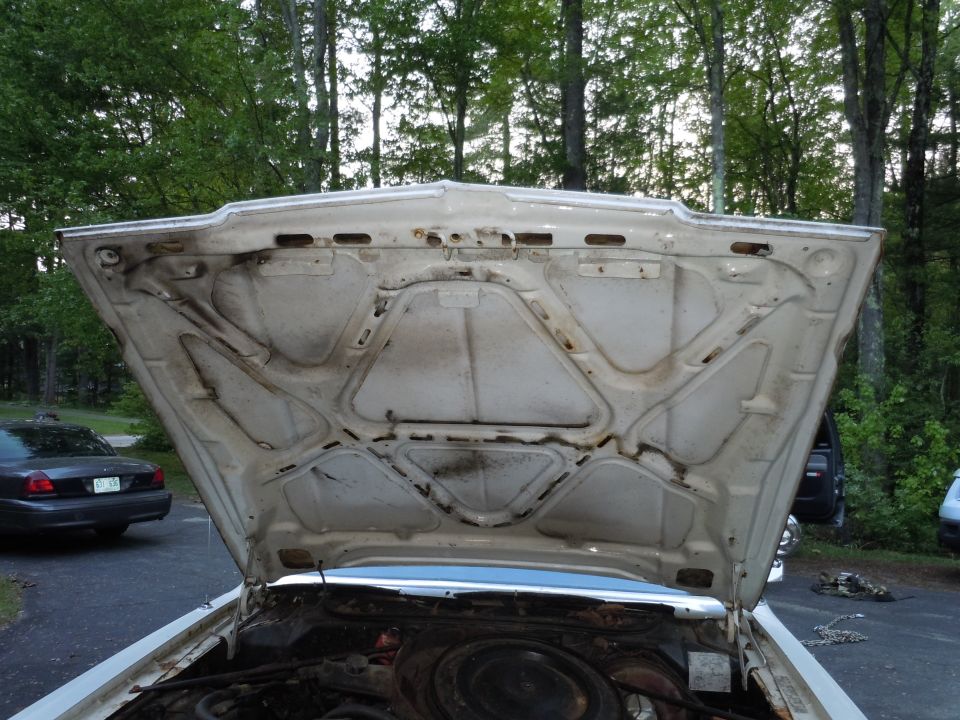 White 2001 Ford Crown Victoria engine bay, hood open, showing engine components and underside of hood