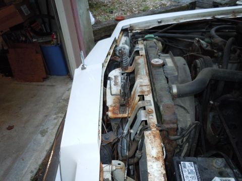 2001 Ford Crown Victoria - The engine bay of a white vehicle, showing the radiator, hoses, and battery, with signs of rust on the metal components.