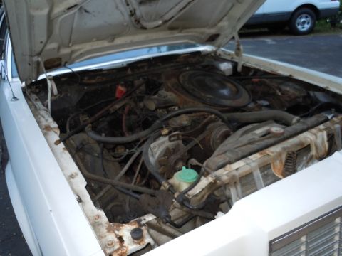 2001 Ford Crown Victoria - Engine bay of a car, hood is open, showing engine components and radiator.