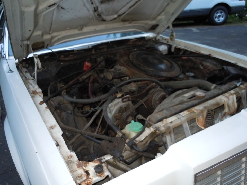 Car engine bay with hood open, showing engine components and radiator. White car exterior visible
