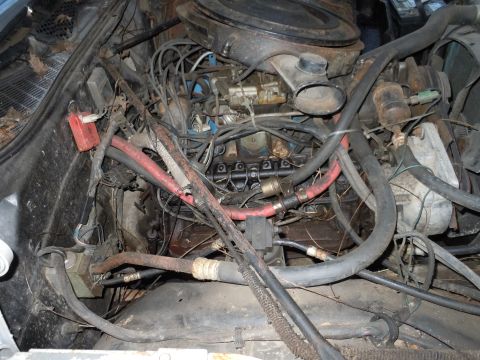 2001 Ford Crown Victoria - A cluttered engine bay with various hoses, wires, and engine components visible.