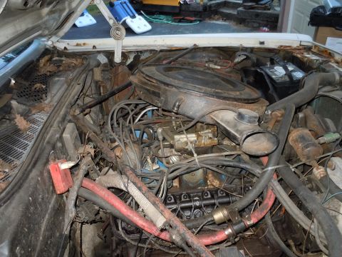 2001 Ford Crown Victoria - The engine bay of a white vehicle shows a V8 engine with visible hoses and a battery.