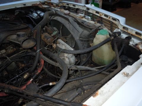2001 Ford Crown Victoria - The engine bay of a vehicle, showing various hoses, the battery, and a coolant reservoir.
