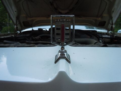 2001 Ford Crown Victoria - Hood ornament on a car with the hood open, showing the engine bay.