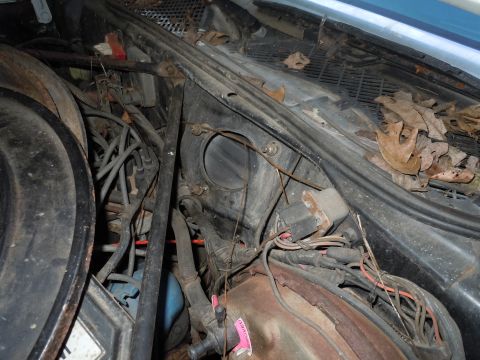 2001 Ford Crown Victoria - The engine bay is cluttered with wires, hoses, and fallen leaves, obscuring any clear identification.