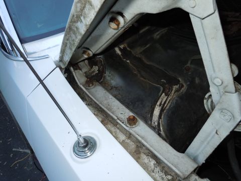 2001 Ford Crown Victoria - Close-up view of the hood hinge area on a white vehicle, showing signs of rust and a chrome antenna base.