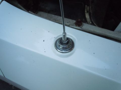 2001 Ford Crown Victoria - Close-up of a car's antenna base mounted on the fender.