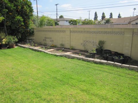 1990 Ford Bronco - A backyard garden area features a raised bed with plants and several potted plants against a wall.