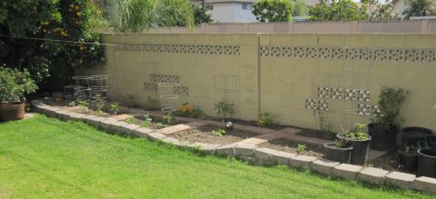 1990 Ford Bronco - A backyard scene features a raised garden bed with young plants and tomato cages against a wall.