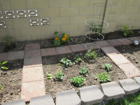 1990 Ford Bronco - A garden bed with young plants, yellow flowers, and a decorative brick wall in the background.