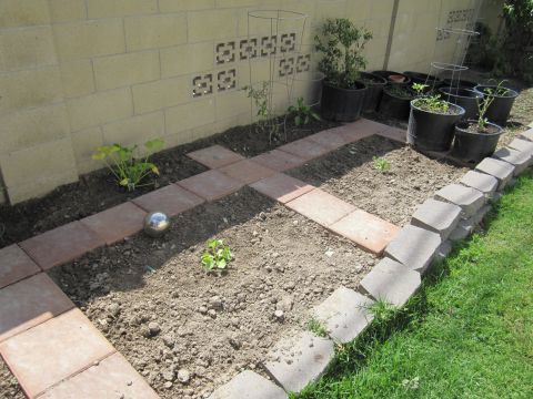 1990 Ford Bronco - A garden scene potted plants, stepping stones, and a decorative wall.