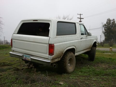 1986 Ford Bronco photo