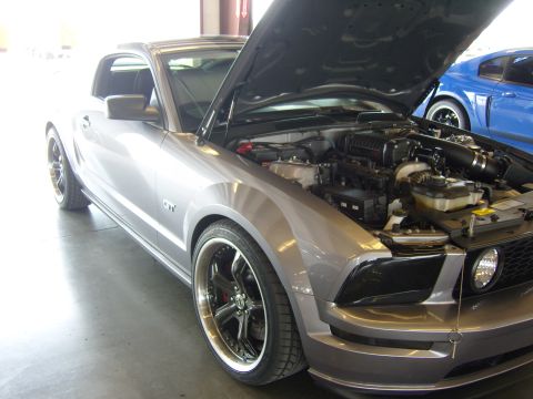 2007 Ford Mustang - A silver Ford Mustang GT is parked with its hood up, revealing the engine compartment. Another Mustang is visible in the background.