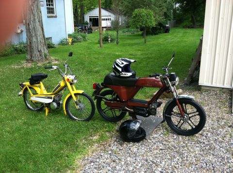 1981 Garelli Rally Sport - Two mopeds are parked in a grassy yard with a house and garage in the background.