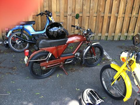 1981 Garelli Rally Sport - Three mopeds are parked next to each other in front of a wooden fence.