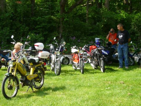 1981 Garelli Rally Sport - A collection of mopeds are gathered on a lawn, with people observing them and taking photos.