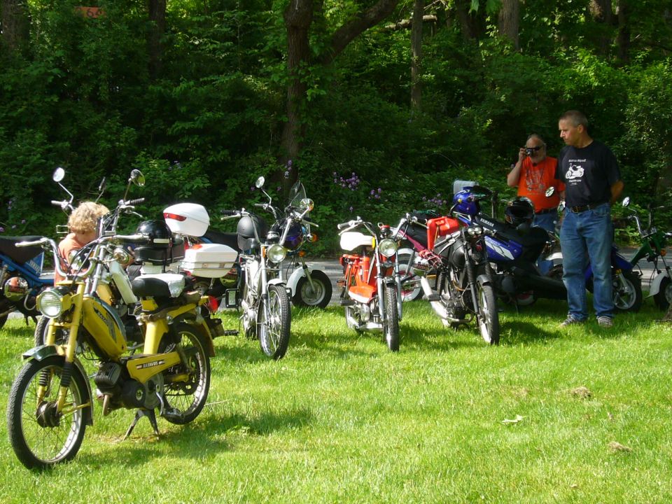 Several mopeds parked on a grassy area with trees in the background. Two men stand near some of the mopeds