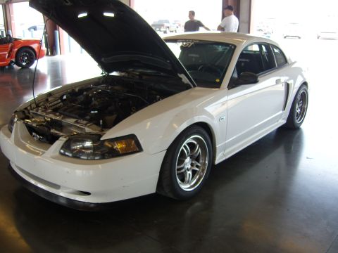 2007 Ford Mustang - A white 2007 Ford Mustang GT coupe is parked with its hood open, revealing the engine bay.