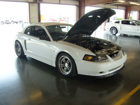 2007 Ford Mustang - White Ford Mustang with hood open, parked indoors next to another Mustang.