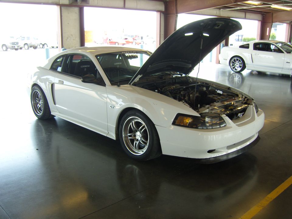 White Ford Mustang with hood open, showing engine bay. Another white Mustang is parked behind it