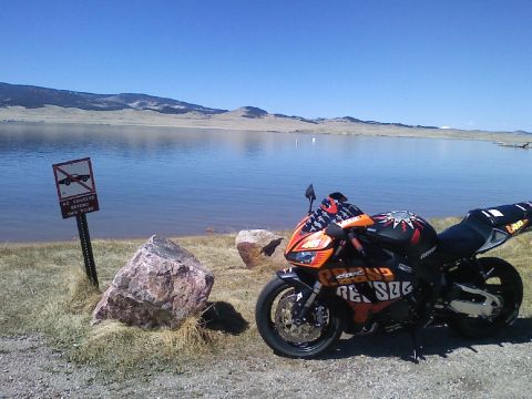 2006 Honda CBR-RR “sykodelic”