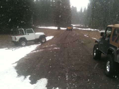 2005 Jeep Wrangler - Several Jeeps navigate a snowy path through a forest, with snow falling.