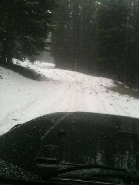 2005 Jeep Wrangler - Driving on a snowy road through a forest with snow falling.