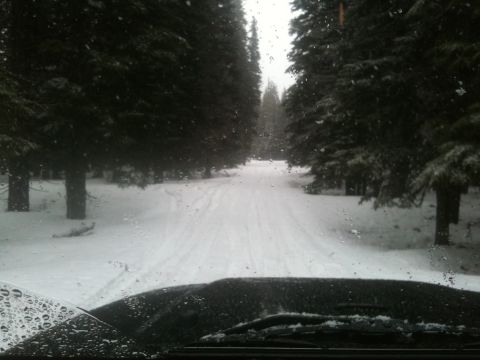 2005 Jeep Wrangler - Driving through a snow-covered forest road, with pine trees lining the path.