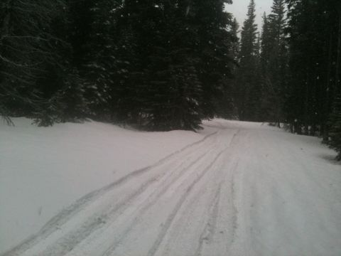 2005 Jeep Wrangler - A snowy forest road with tire tracks indicates recent vehicle passage.