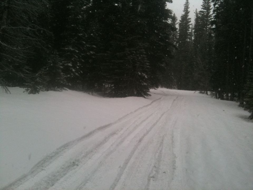Tire tracks on a snowy forest road