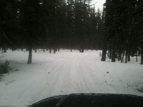 2005 Jeep Wrangler - A snowy forest road with tire tracks, viewed from the perspective of a vehicle's interior.