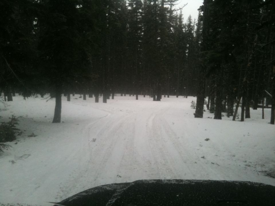 Dark hood of a vehicle in the foreground, looking out onto a snow-covered forest road with tire tracks