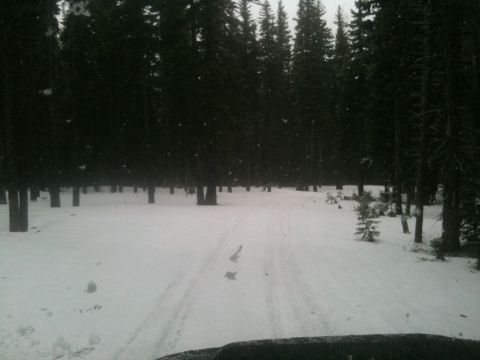 2005 Jeep Wrangler - A view from inside a vehicle looking out at a snowy forest road with tire tracks and falling snow.
