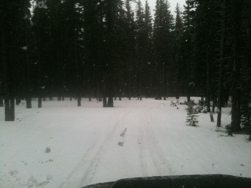 Snowy forest road with tire tracks and falling snow