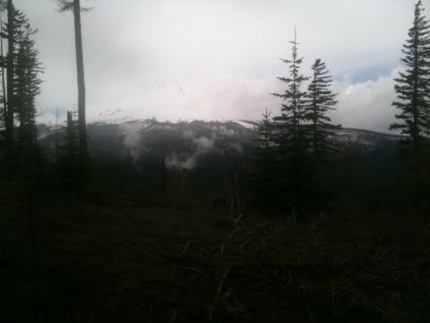 2005 Jeep Wrangler - A cloudy day view of a snow-covered mountain range surrounded by dense forest.