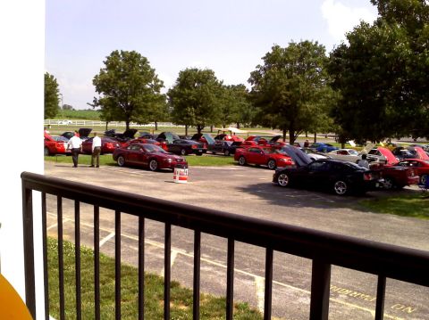 2007 Ford Mustang - A collection of Ford Mustangs are gathered outdoors, with many hoods raised.