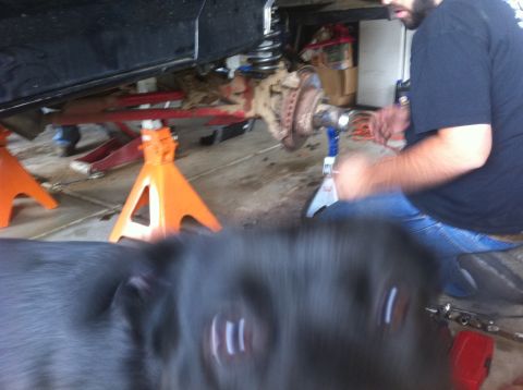 1990 Ford Bronco - Vehicle suspension and brake assembly being worked on, with a dog in the foreground.