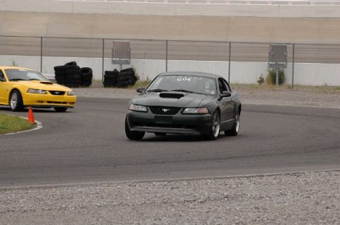 2007 Ford Mustang - Two Mustangs are on a race track, one dark green and one yellow, with tires stacked in the background.