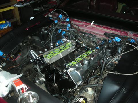 1992 Ford Crown Victoria - Engine bay during a rebuild, chrome valve covers with green gaskets and extensive wiring.