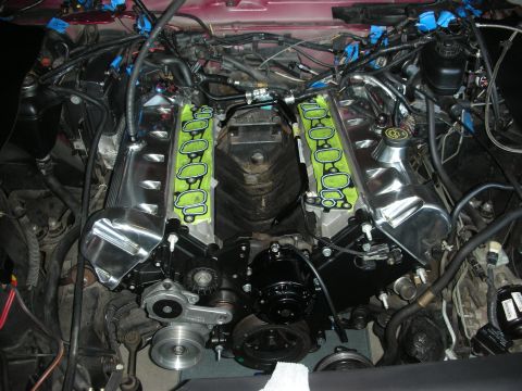 1992 Ford Crown Victoria - Engine bay during a rebuild, showing chrome valve covers and new intake manifold gaskets.