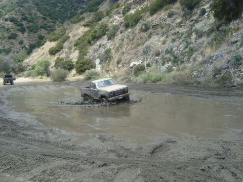 1986 Ford Bronco - A tan pickup truck navigates through a muddy puddle on a dirt road, with another vehicle visible in the distance.