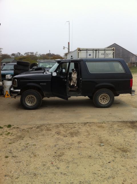 1993 Ford Bronco - A black 1993 Ford Bronco is parked with its driver's door open, and a dog sits in the driver's seat.
