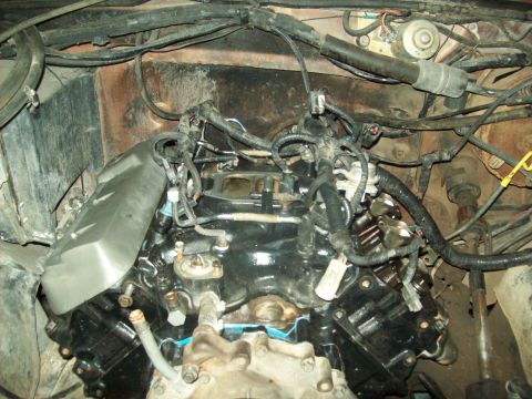 1985 Ford Bronco photo
