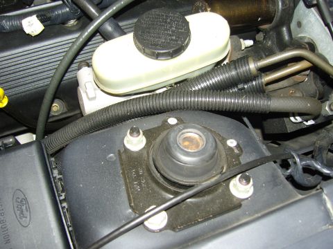 2007 Ford Mustang - Close-up view of engine bay components including the brake fluid reservoir and strut mount.