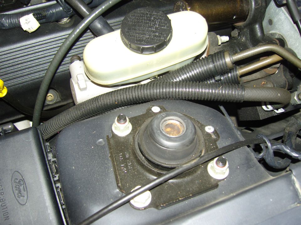 Ford engine bay with brake fluid reservoir and strut mount