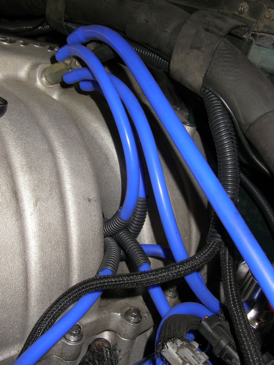 Blue silicone spark plug wires over aluminum intake manifold in engine bay